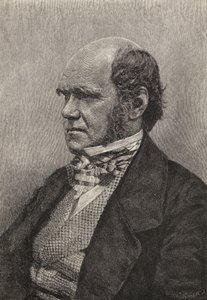 Charles Darwin à 45 ans, illustration de 